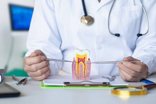 Best Broken or Chipped Tooth Repair in Creston, OH